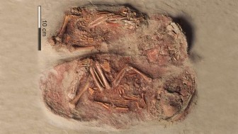 Bí ẩn ngôi mộ cổ 31.000 năm tuổi ở Áo