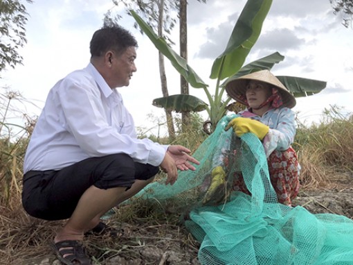 Vùng đất trũng bị thiệt hại nặng nề do ngập úng