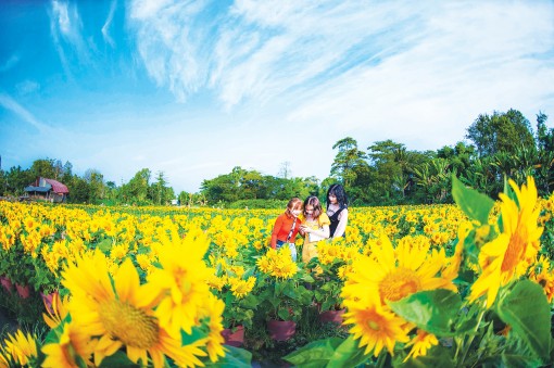 Du lịch và ẩm thực An Giang