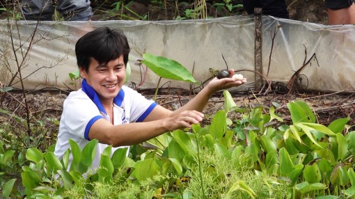 Bỏ phố về quê lập nghiệp