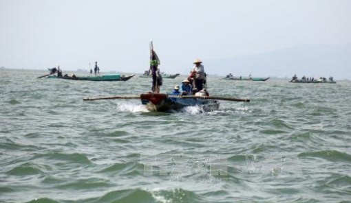 Kiên Giang: Kiểm soát chặt việc khai thác nghêu lụa, sò lông