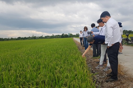 Nâng cao hiệu quả kinh tế tập thể