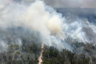 Cháy rừng thiêu rụi gần một nửa hòn đảo di sản thế giới Fraser