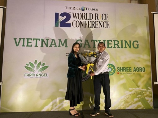Gạo ST25 là á quân cuộc thi Gạo ngon nhất thế giới 2020