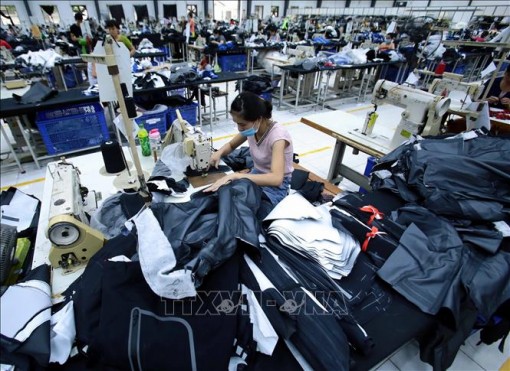 Ngành dệt may đón cơ hội từ Hiệp định RCEP
