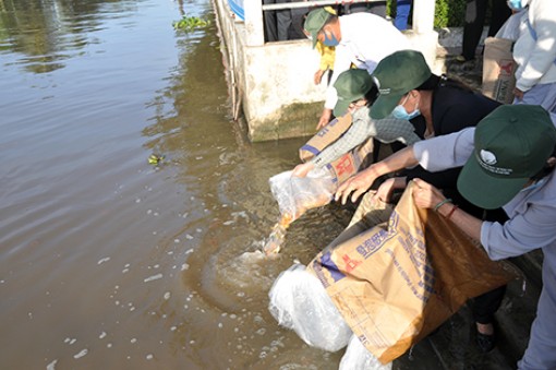 Hậu Giang: Thả hơn 600kg cá giống tái tạo nguồn lợi thủy sản