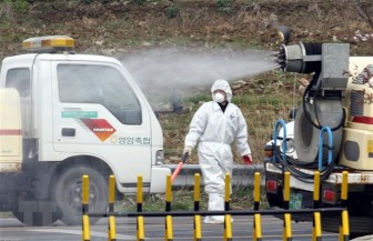 Thêm 1 ca nghi mắc cúm gia cầm, Hàn Quốc lo ngại dịch bệnh lây lan