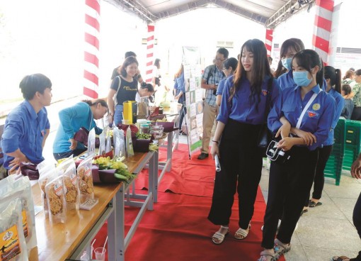Hỗ trợ việc làm cho đoàn viên, thanh niên