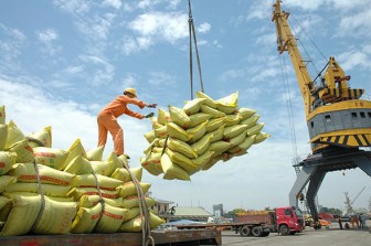 Khối lượng giảm, kim ngạch xuất khẩu gạo vẫn tăng 10,4%