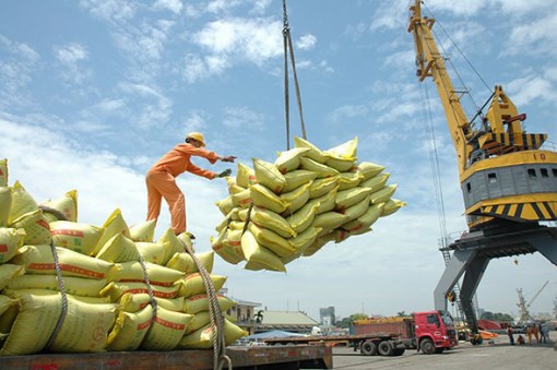 Khối lượng giảm, kim ngạch xuất khẩu gạo vẫn tăng 10,4%