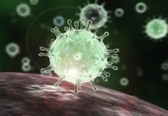 Chủng mới của virus nCoV xuất hiện ở 1.000 người bệnh