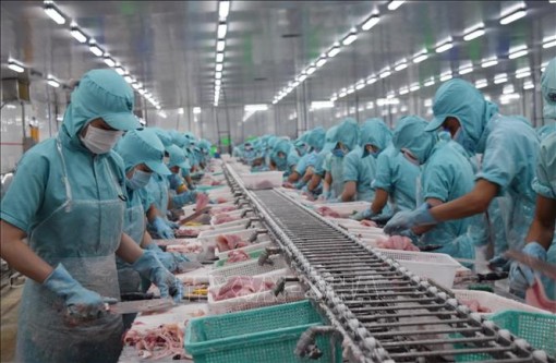 Xuất khẩu trở thành 'điểm sáng' trong bối cảnh dịch COVID-19