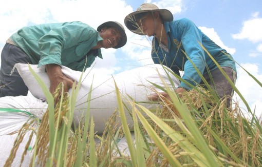 Lần đầu tiên Việt Nam vào nhóm nước có chỉ số phát triển con người cao