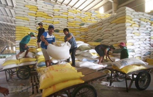 EAEU dành 10.000 tấn gạo hạn ngạch thuế quan cho Việt Nam trong 2021