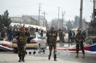 Afghanistan không kích, tiêu diệt nhiều phiến quân tại miền Đông