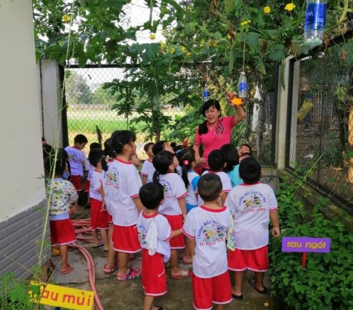 Lập vườn rau làm “giáo cụ” đặc biệt cho trẻ mẫu giáo
