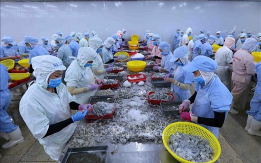 EVFTA - Hiện thực và kỳ vọng