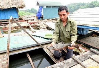 Tuyên Quang: Nuôi nhốt những con cá đặc sản râu dài trước ví như "loài thủy quái" tinh ranh, dân trở nên giàu có
