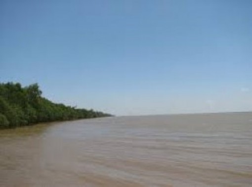 Bến Tre: Cảnh báo xâm nhập mặn có khả năng tăng đột biến