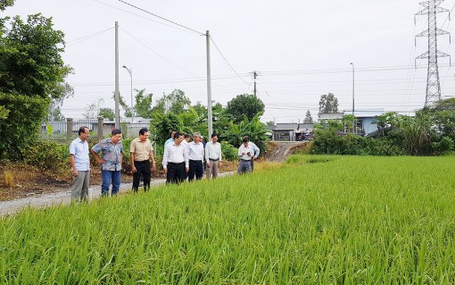 An Giang liên kết phát triển nông nghiệp