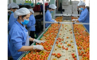 Thời điểm “tăng tốc” xuất khẩu rau quả