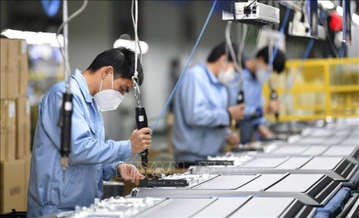 Dự báo thế giới 2021: Năm của các nền kinh tế mới nổi