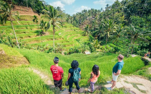 Du lịch thế giới 2020: Tổn thất và tự làm mới