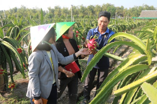 Đồng Tháp: Đồng hành cùng doanh nghiệp bước qua đại dịch