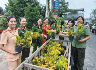 Chợ Mới huy động nguồn lực trồng hoa, cây xanh các tuyến đường