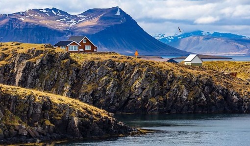 Iceland - Quốc gia chỉ có một con muỗi