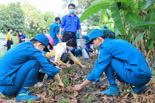 Xây dựng lực lượng dân quân tự vệ và dự bị động viên