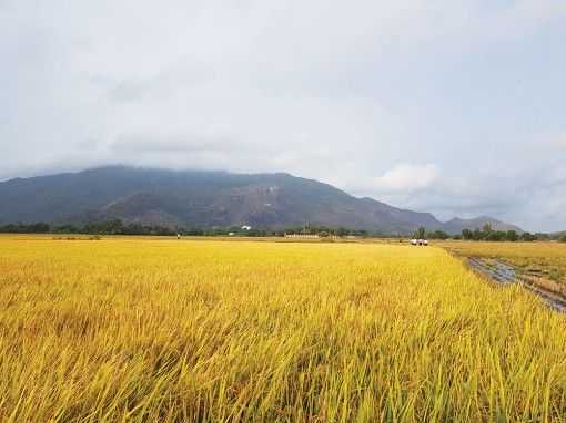 An Giang nâng cao hiệu quả quy hoạch sử dụng đất