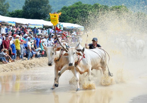 An Giang phát triển phong trào thể dục - thể thao trong vùng đồng bào dân tộc thiểu số