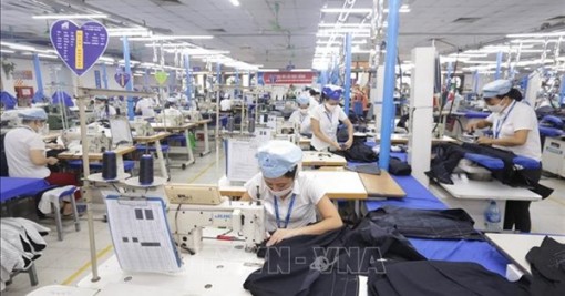 Những điểm khác giữa UKVFTA và EVFTA