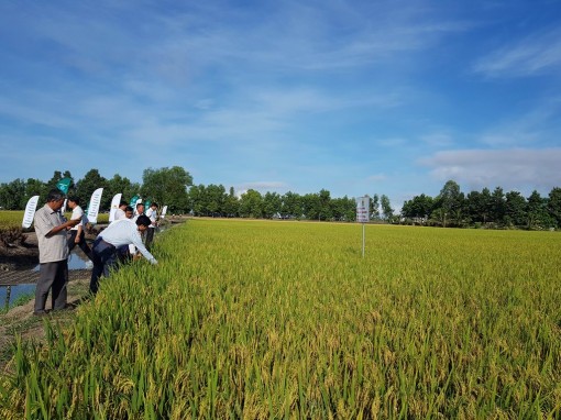 An Giang đẩy mạnh tuyên truyền tái cơ cấu nông nghiệp