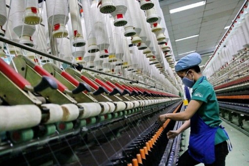 Thủy hải sản, rau quả, gạo xuất sang Anh thuế về 0% từ hôm nay 1-1-2021