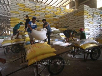 Giá gạo Việt Nam giao dịch ở mức cao nhất trong 9 năm