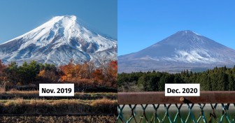 Điều gì xảy ra khi núi Phú Sĩ không có tuyết rơi?