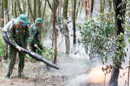Dập tắt đám cháy gần 4ha rừng thông tại Quảng Ninh