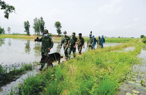 An Giang kiên quyết ngăn chặn, kiểm soát dịch bệnh