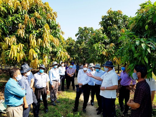 An Giang: Đột phá từ nông nghiệp