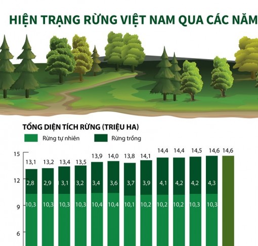 Hiện trạng rừng Việt Nam trong 13 năm qua