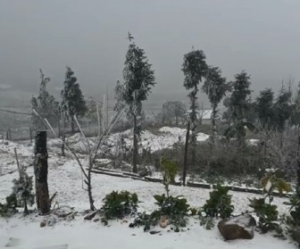 Băng tuyết phủ dày đặc, Lào Cai thiệt hại nặng nề