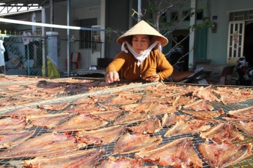 Làng khô xứ biển Trần Đề tấp nập vào vụ Tết