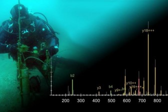 Tia cực tím giúp sinh vật biển xác định thời gian trong năm
