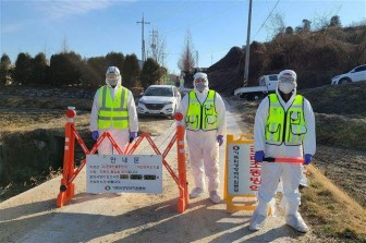 Hàn Quốc phát hiện thêm 3 trường hợp mắc cúm gia cầm độc lực cao
