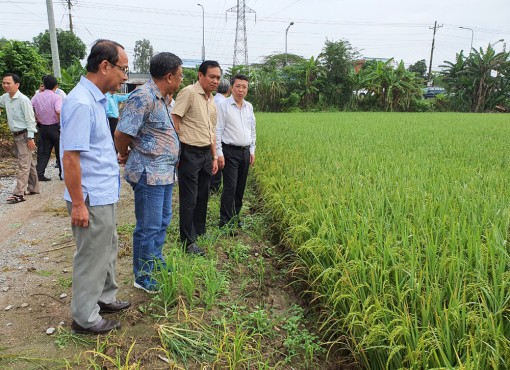 An Giang nâng cao vai trò hợp tác xã nông nghiệp