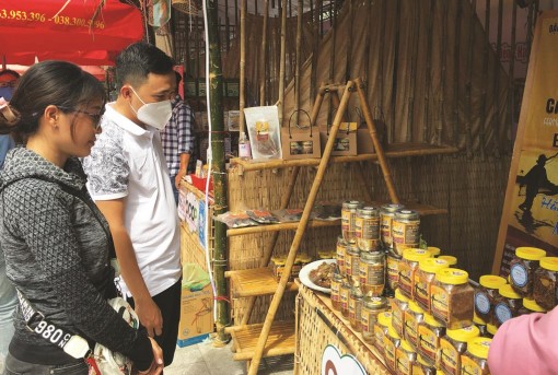 Kinh doanh đặc sản mùa Tết
