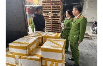 Thanh Hóa: Phát hiện xe tải vận chuyển 250kg cá khoai ướp phóc môn
