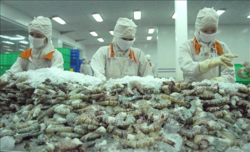 Ngành tài chính góp phần đảm bảo các cân đối lớn của nền kinh tế